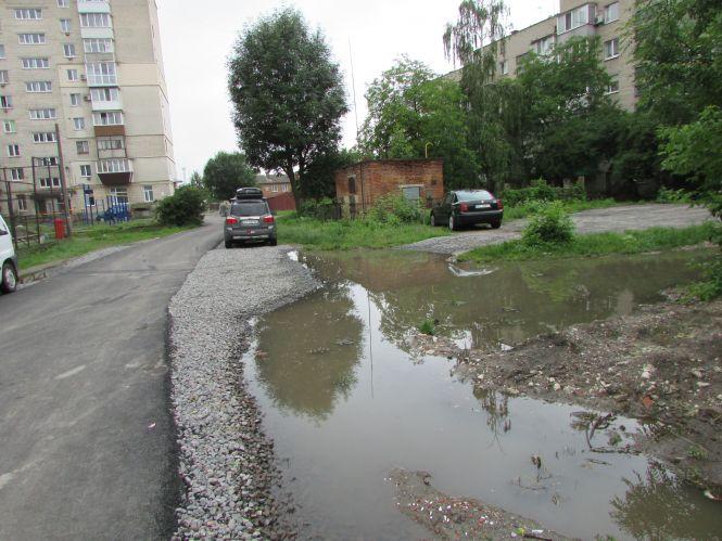 Новини Козятина - фото з Репортаж Козятинщиною: яблуні в яскравому вбрані, калюжі, троянди та старий водогін Репортаж Козятинщиною: яблуні в яскравому вбрані, калюжі, троянди та старий водогін, фото №4 на сайті 20minut.ua