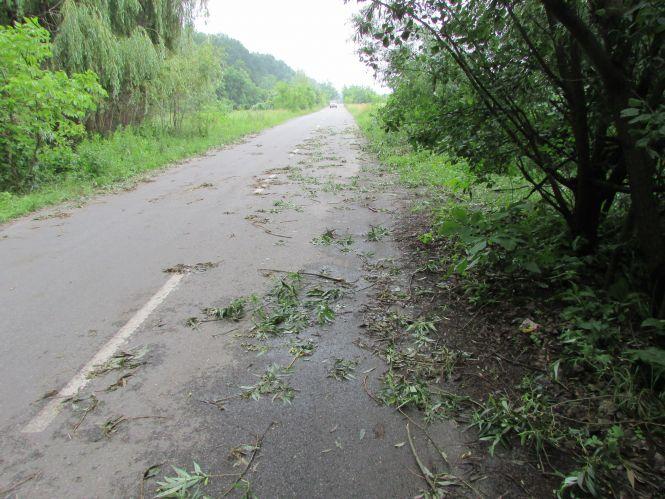 Новини Козятина - фото з Репортаж Козятинщиною: яблуні в яскравому вбрані, калюжі, троянди та старий водогін Репортаж Козятинщиною: яблуні в яскравому вбрані, калюжі, троянди та старий водогін, фото №12 на сайті 20minut.ua
