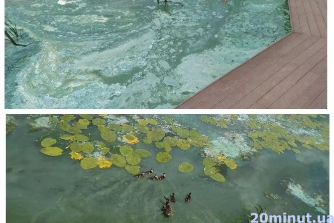 Новини Тернополя - фото з Очистка води у Ставі: з 6 липня аераційний фонтан працюватиме цілодобово Очистка води у Ставі: з 6 липня аераційний фонтан працюватиме цілодобово, фото №1 на сайті 20minut.ua