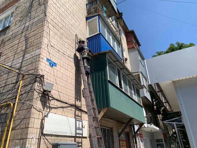 Новини Вінниці - фото з У Жмеринці кіт випав з вікна та потрапив у пастку. Звільнили тварину рятувальники У Жмеринці кіт випав з вікна та потрапив у пастку. Звільнили тварину рятувальники, фото №1 на сайті 20minut.ua