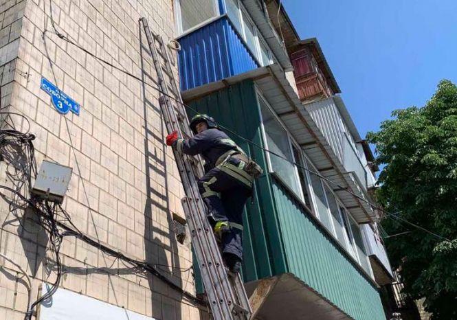 Новини Вінниці - фото з У Жмеринці кіт випав з вікна та потрапив у пастку. Звільнили тварину рятувальники У Жмеринці кіт випав з вікна та потрапив у пастку. Звільнили тварину рятувальники, фото №2 на сайті 20minut.ua