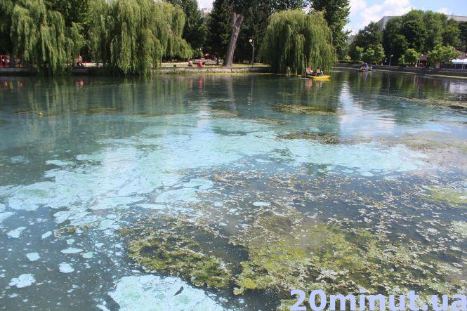 Новини Тернополя - фото з Скільки коштує покататись на катамаранах у Тернополі та чи безпечно це? Скільки коштує покататись на катамаранах у Тернополі та чи безпечно це?, фото №6 на сайті 20minut.ua