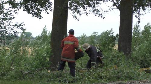 Новини Житомира - фото з Гілка тополі заблокувала рух на дорозі Овруч - Словечне S6310074.JPG