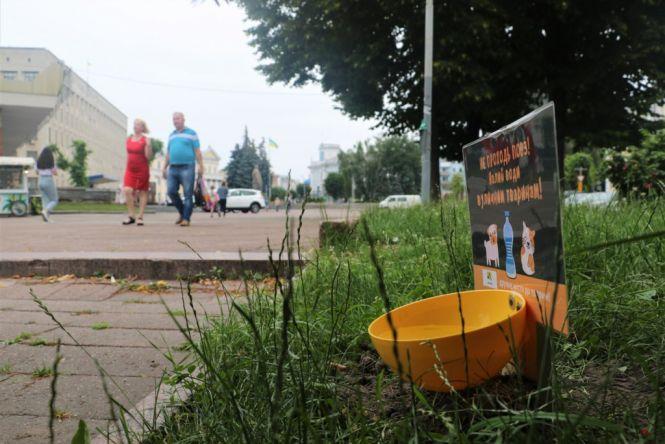 Новини Житомира - фото з У Житомир вже встановили 30 поїлок для тварин У Житомир вже встановили 30 поїлок для тварин, фото №1 на сайті 20minut.ua