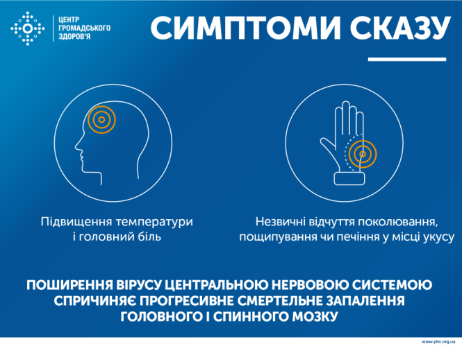 Новини Тернополя - фото з Скільки коштує вакцинувати домашнього улюбленця від сказу та як це зробити безкоштовно Скільки коштує вакцинувати домашнього улюбленця від сказу та як це зробити безкоштовно, фото №1 на сайті 20minut.ua
