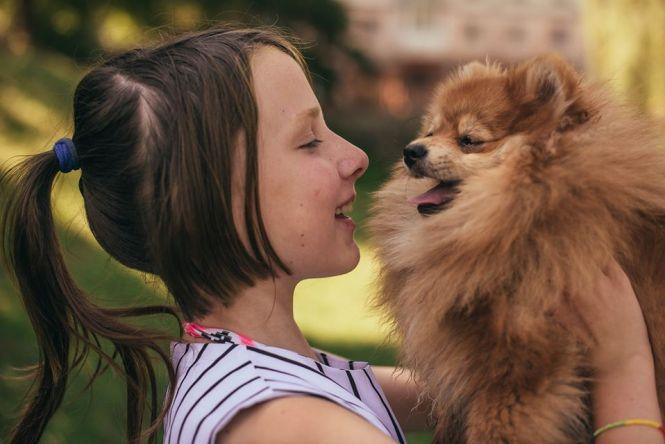 Новини Тернополя - фото з Тернополяни влаштували фотосесію з домашніми улюбленцями (ФОТО. ВІДЕО) Тернополяни влаштували фотосесію з домашніми улюбленцями (ФОТО. ВІДЕО), фото №16 на сайті 20minut.ua