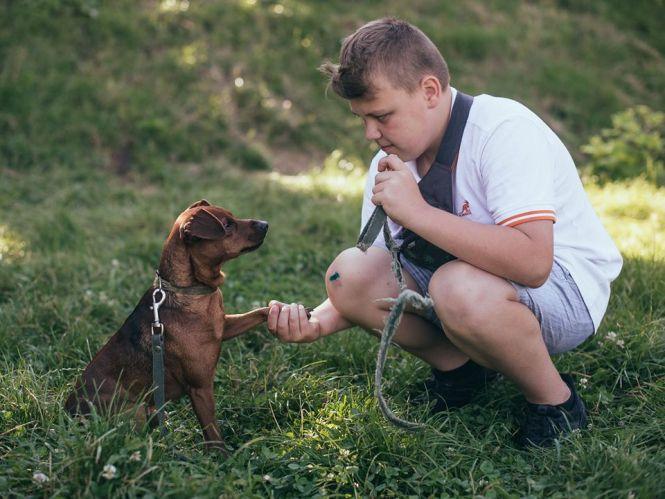 Новини Тернополя - фото з Тернополяни влаштували фотосесію з домашніми улюбленцями (ФОТО. ВІДЕО) Тернополяни влаштували фотосесію з домашніми улюбленцями (ФОТО. ВІДЕО), фото №8 на сайті 20minut.ua