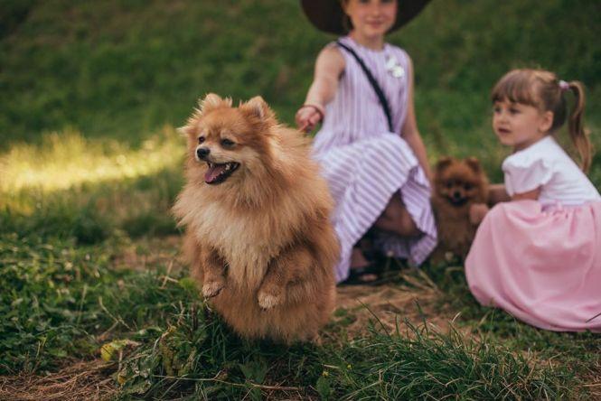 Новини Тернополя - фото з Тернополяни влаштували фотосесію з домашніми улюбленцями (ФОТО. ВІДЕО) Тернополяни влаштували фотосесію з домашніми улюбленцями (ФОТО. ВІДЕО), фото №15 на сайті 20minut.ua