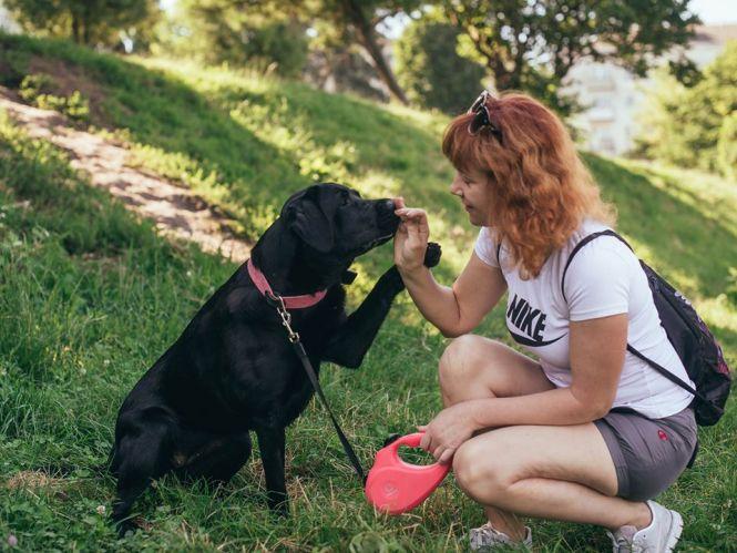 Новини Тернополя - фото з Тернополяни влаштували фотосесію з домашніми улюбленцями (ФОТО. ВІДЕО) Тернополяни влаштували фотосесію з домашніми улюбленцями (ФОТО. ВІДЕО), фото №5 на сайті 20minut.ua
