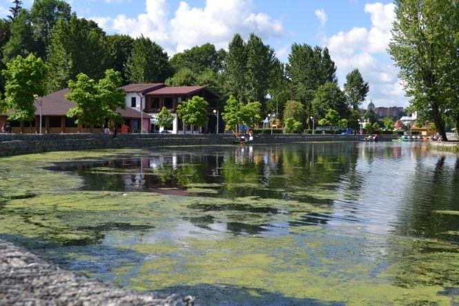 Новини Тернополя - фото з Вилами та граблями: як у Тернополі очищають став від водоростей та сміття Вилами та граблями: як у Тернополі очищають став від водоростей та сміття, фото №2 на сайті 20minut.ua