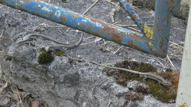 Незважаючи на дощі і прохолодну погоду, рівень води в Тетеріві не зростає, фото №3 на сайті 20minut.ua