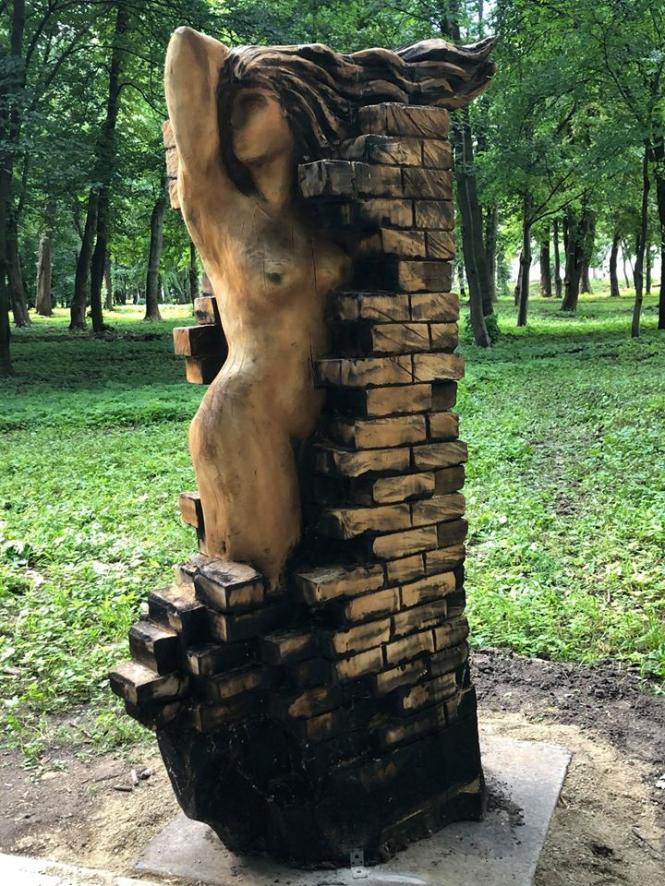 На изображении может находиться: дерево, трава, растение, на улице и природа