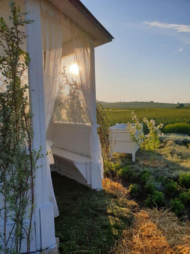 Новини Тернополя - фото з "Це місце, де зцілюються". Після лаванди жителька Збаража готує для відвідувачів нові сюрпризи "Це місце, де зцілюються". Після лаванди жителька Збаража готує для відвідувачів нові сюрпризи, фото №3 на сайті 20minut.ua