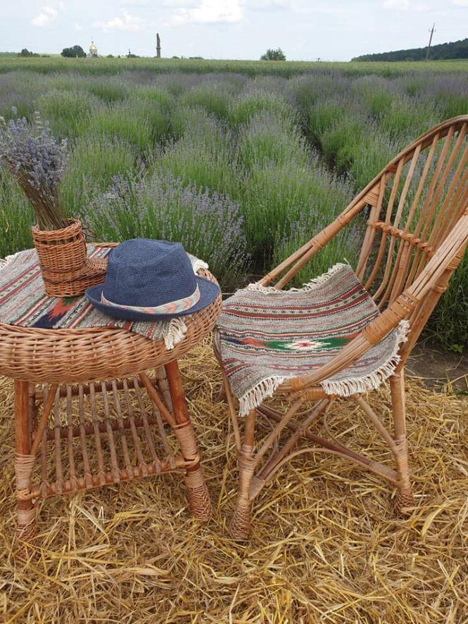 Новини Тернополя - фото з "Це місце, де зцілюються". Після лаванди жителька Збаража готує для відвідувачів нові сюрпризи "Це місце, де зцілюються". Після лаванди жителька Збаража готує для відвідувачів нові сюрпризи, фото №7 на сайті 20minut.ua