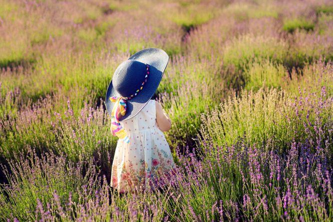 Новини Тернополя - фото з "Це місце, де зцілюються". Після лаванди жителька Збаража готує для відвідувачів нові сюрпризи "Це місце, де зцілюються". Після лаванди жителька Збаража готує для відвідувачів нові сюрпризи, фото №9 на сайті 20minut.ua