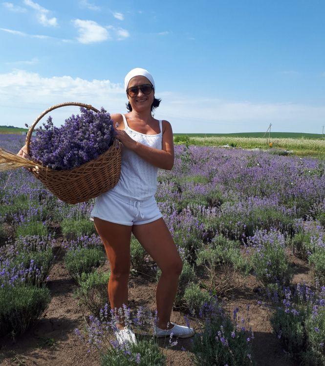Новини Тернополя - фото з "Це місце, де зцілюються". Після лаванди жителька Збаража готує для відвідувачів нові сюрпризи "Це місце, де зцілюються". Після лаванди жителька Збаража готує для відвідувачів нові сюрпризи, фото №1 на сайті 20minut.ua