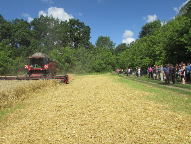 У Махаринцях пайовики прогнали рейдерів, фото №1 на сайті 20minut.ua