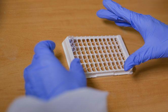 Новини Вінниці - фото з Тест за три години. У Центрі матері і дитини породіль перевірятимуть на COVID-19 Тест за три години. У Центрі матері і дитини породіль перевірятимуть на COVID-19, фото №3 на сайті 20minut.ua