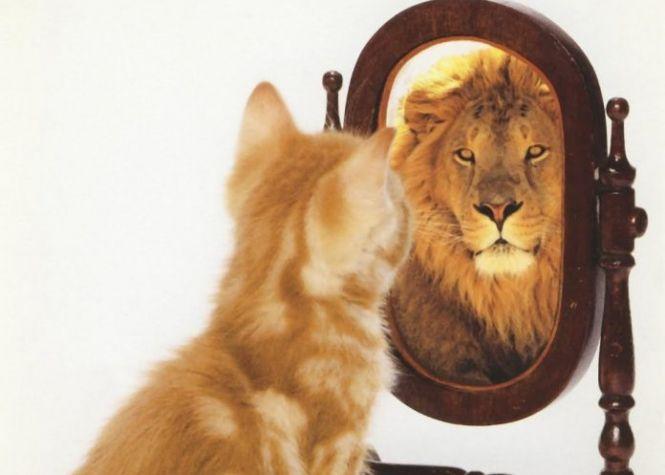 Новини Вінниці - фото з ВІН І ВОНА: Шукаєте кохання? Спочатку закотіть губу ВІН І ВОНА: Шукаєте кохання? Спочатку закотіть губу, фото №3 на сайті 20minut.ua