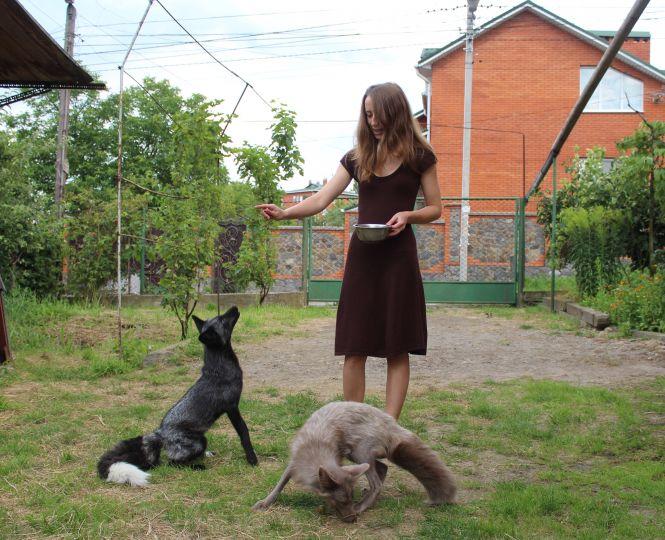 «Батьки думали, що я це переросту». Вінничанка тримає вдома лисиць, змій та геконів, фото №1 на сайті 20minut.ua