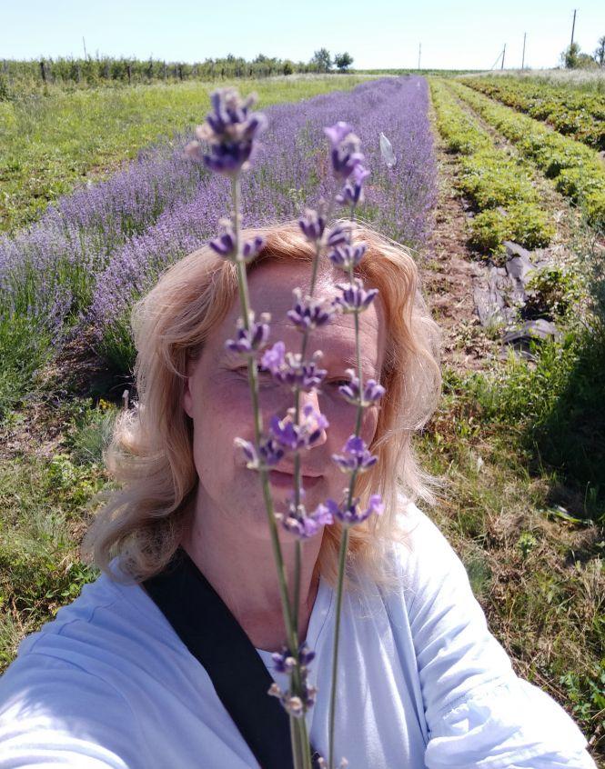 «Ніби хтось розлив парфуми».  У Ладижині цвіте лаванда — беріть розсаду і заробляйте гроші, фото №2 на сайті 20minut.ua