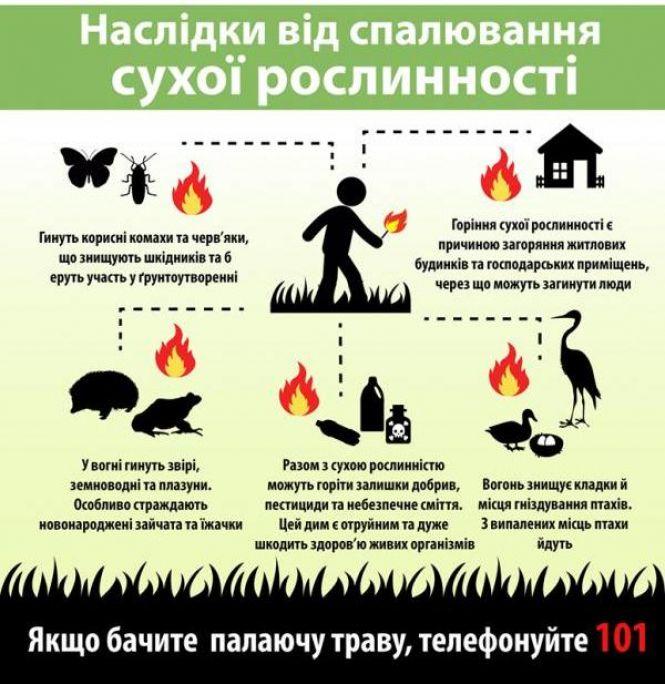 В Козятинському районі гасили суху траву, фото №2 на сайті 20minut.ua
