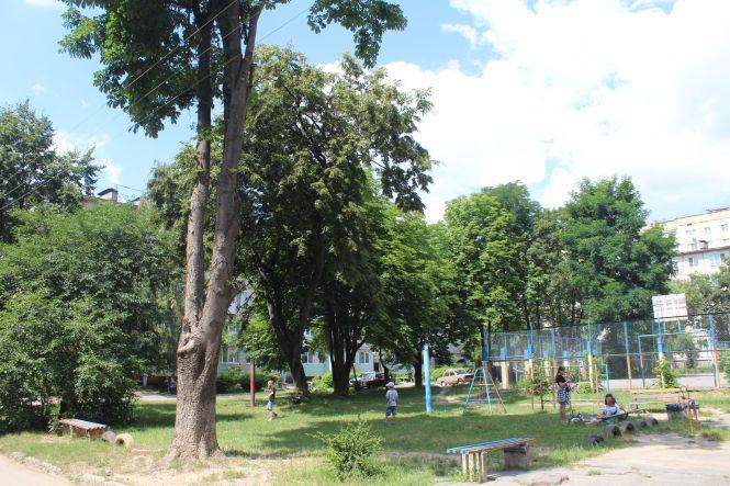 Новини Вінниці - фото з «Потрібно 10-12 годин, щоб зійшла вода». На Космонавтів підтоплює будинок «Потрібно 10-12 годин, щоб зійшла вода». На Космонавтів підтоплює будинок, фото №2 на сайті 20minut.ua