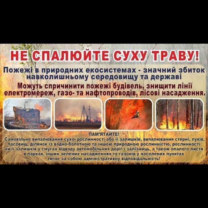 В Козятинському районі гасили суху траву, фото №1 на сайті 20minut.ua