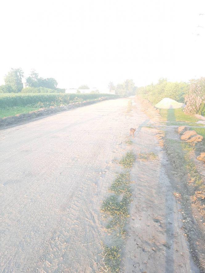 Міст на Білоцерківській таки відремонтують, фото №1 на сайті 20minut.ua