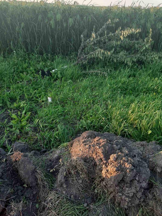 Міст на Білоцерківській таки відремонтують, фото №3 на сайті 20minut.ua