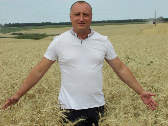 Рейдери поїхали ні з чим, а пайовики відстоявши урожай, збирали колоски для дідухів, фото №10 на сайті 20minut.ua