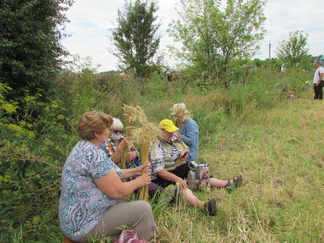 Рейдери поїхали ні з чим, а пайовики відстоявши урожай, збирали колоски для дідухів, фото №13 на сайті 20minut.ua