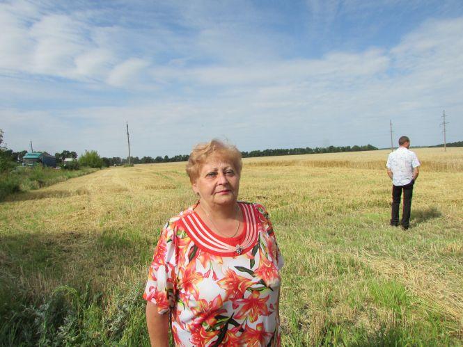 Рейдери поїхали ні з чим, а пайовики відстоявши урожай, збирали колоски для дідухів, фото №5 на сайті 20minut.ua