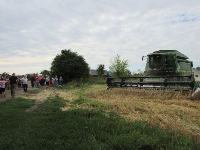 Рейдери поїхали ні з чим, а пайовики відстоявши урожай, збирали колоски для дідухів, фото №1 на сайті 20minut.ua
