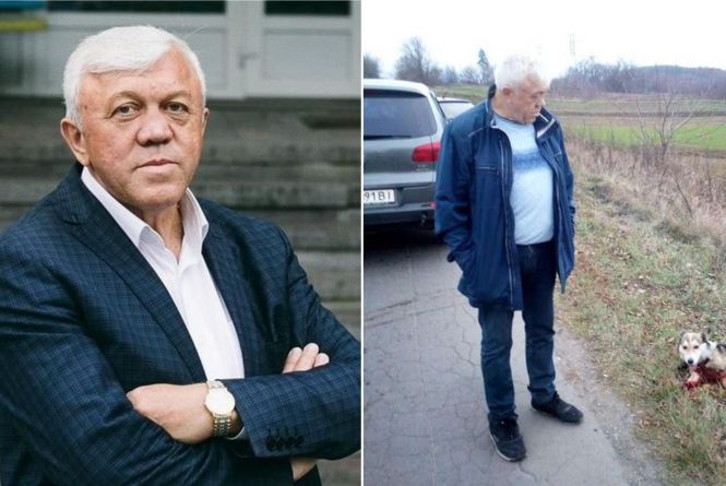 Новини Хмельницького - фото з Собак Барсика та Джоні волокли по асфальту: чому люди вдаються до жорстокості Хмельницький чиновник прив’язав собаку до машини та тягнув його по дорозі (ВІДЕО)