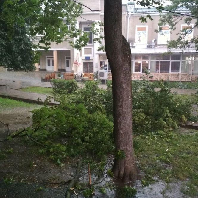 Новини Хмельницького - фото з Гроза у Хмельницькому: затоплені вулиці та повалені дерева (ФОТО+ВІДЕО) Гроза у Хмельницькому: затоплені вулиці та повалені дерева (ФОТО+ВІДЕО), фото №1 на сайті vsim.ua