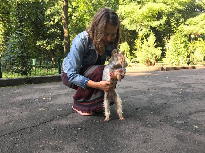 Новини Хмельницького - фото з Проблема вигулу собак у Хмельницькому: як вирішать і які умови є зараз Нет описания.