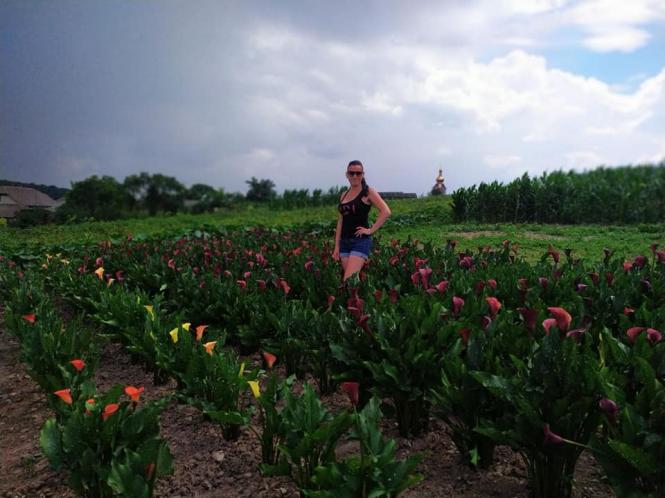 Новини Тернополя - фото з Нова фотозона: на Тернопільщині чоловік виростив унікальне квіткове поле із тисячі кольорових кал Світлина від Олександри Остяк.