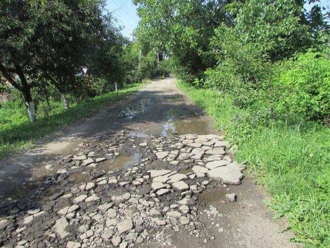 Битий асфальт на Осипенка, залізничники-альпіністи та жнива без рейдерів, фото №6 на сайті 20minut.ua