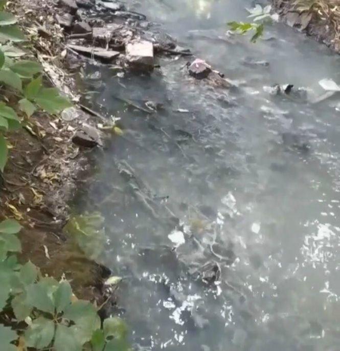 Новини Вінниці - фото з «Вона ніколи приємно не пахла» або хто знову забруднив річку Тяжилівку? «Вона ніколи приємно не пахла» або хто знову забруднив річку Тяжилівку?, фото №1 на сайті 20minut.ua