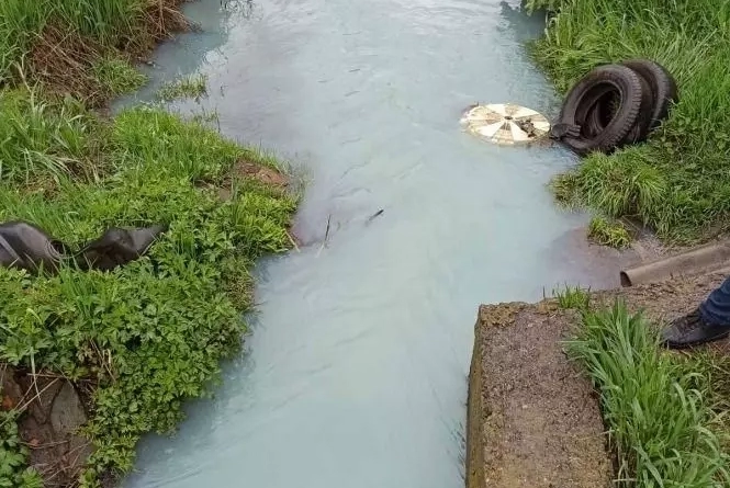Новини Вінниці - фото з «Вона ніколи приємно не пахла» або хто знову забруднив річку Тяжилівку? «Вона ніколи приємно не пахла» або хто знову забруднив річку Тяжилівку?, фото №3 на сайті 20minut.ua