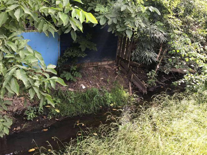 Новини Вінниці - фото з «Вона ніколи приємно не пахла» або хто знову забруднив річку Тяжилівку? «Вона ніколи приємно не пахла» або хто знову забруднив річку Тяжилівку?, фото №2 на сайті 20minut.ua