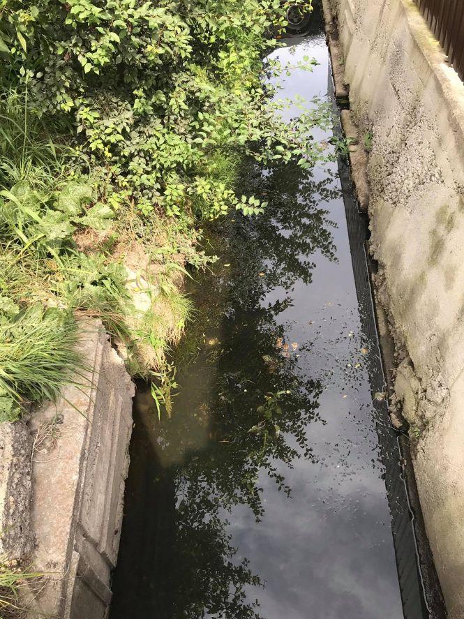 Новини Вінниці - фото з «Вона ніколи приємно не пахла» або хто знову забруднив річку Тяжилівку? «Вона ніколи приємно не пахла» або хто знову забруднив річку Тяжилівку?, фото №4 на сайті 20minut.ua