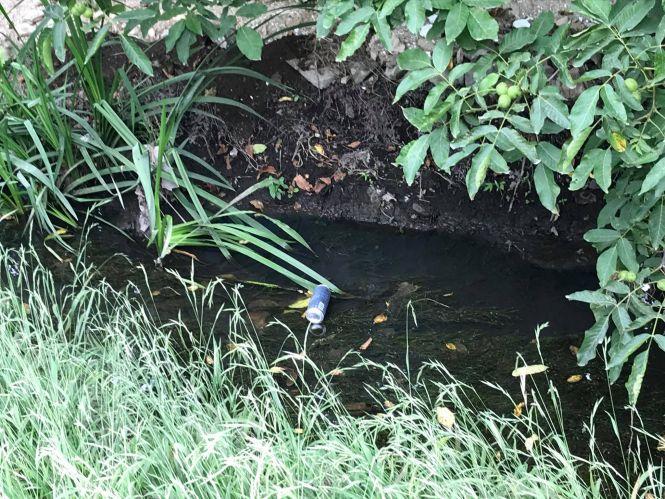 Новини Вінниці - фото з «Вона ніколи приємно не пахла» або хто знову забруднив річку Тяжилівку? «Вона ніколи приємно не пахла» або хто знову забруднив річку Тяжилівку?, фото №8 на сайті 20minut.ua