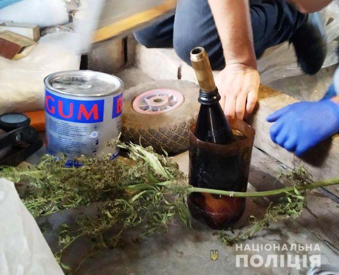 Знову знайшли посів конопель. У Барському районі 50 рослин, у Козятинському – 170, фото №2 на сайті 20minut.ua
