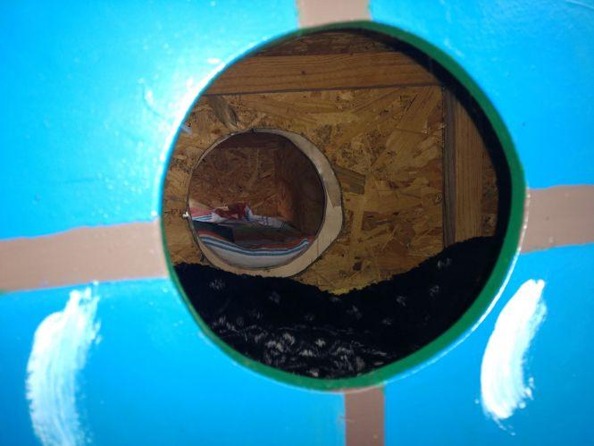 Новини Вінниці - фото з В одному з мікрорайонів міста з’явився гуртожиток для котів та собак В одному з мікрорайонів міста з’явився гуртожиток для котів та собак, фото №3 на сайті 20minut.ua