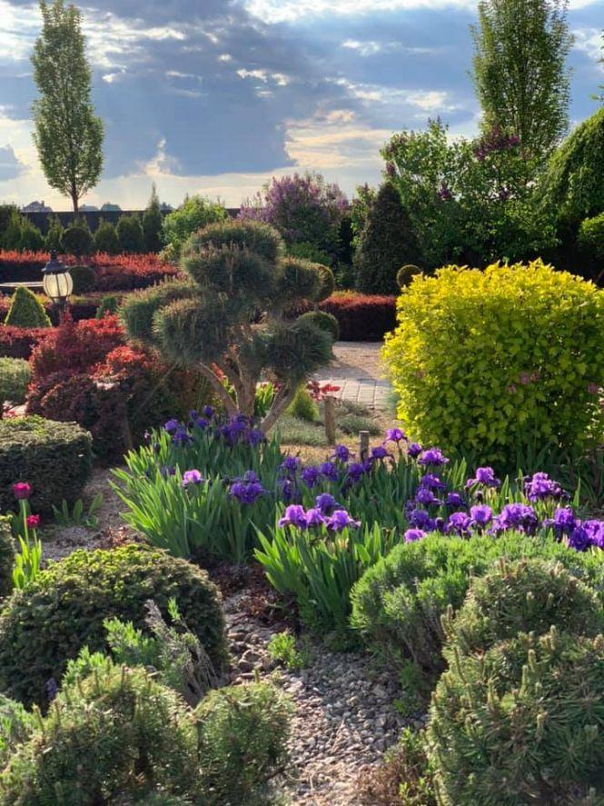 Новини Вінниці - фото з «Коли сліпо закоханий, чужа думка на почуття не впливає». Історія успіху дизайнера Очеретного «Коли сліпо закоханий, чужа думка на почуття не впливає». Історія успіху дизайнера Очеретного, фото №5 на сайті 20minut.ua