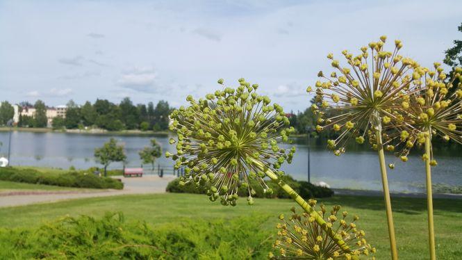 Пригоди козятинчанина у Фінляндії, фото №10 на сайті 20minut.ua