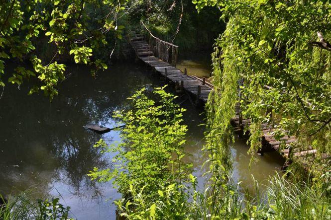 Сиділи козаки під вербами… У Тульчині міжнародна виставка до ювілею  «Козацької левади», фото №3 на сайті 20minut.ua