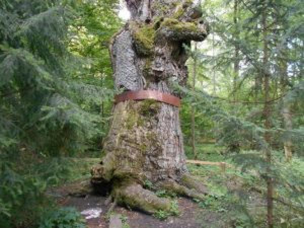 Новини Житомира - фото з #Мандруй_Житомирщиною: туристичний маршрут “Єднання з природою” #Мандруй_Житомирщиною: туристичний маршрут “Єднання з природою”, фото №4 на сайті 20minut.ua